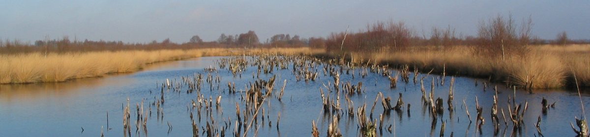Vijftig Plus Zwartemeer